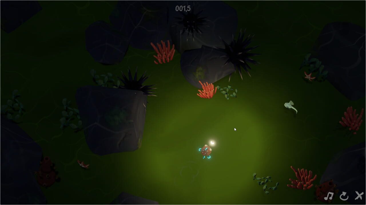 An Angler’s Light