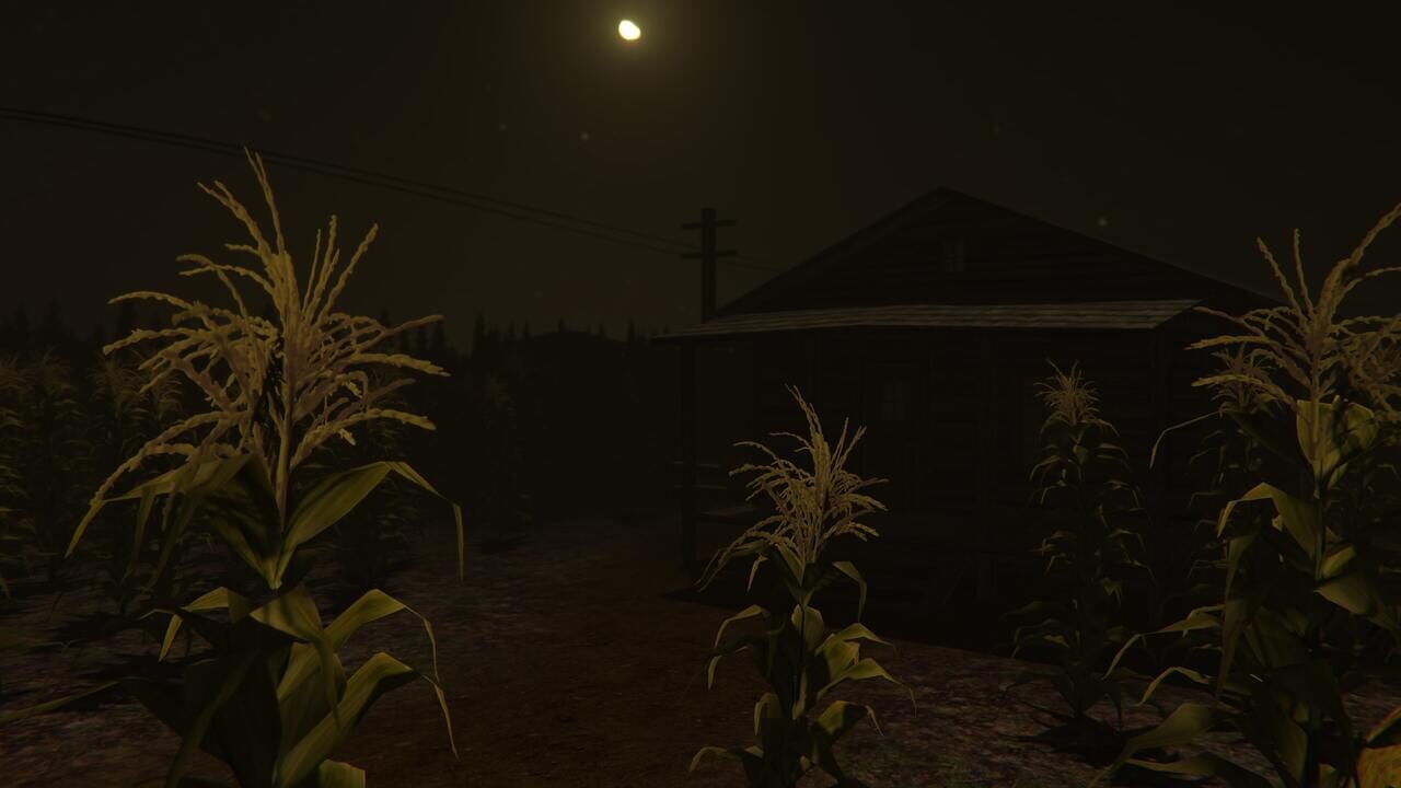 Cornfield
