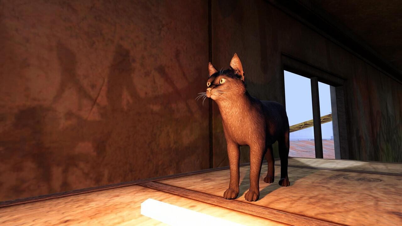 Tinny Strays