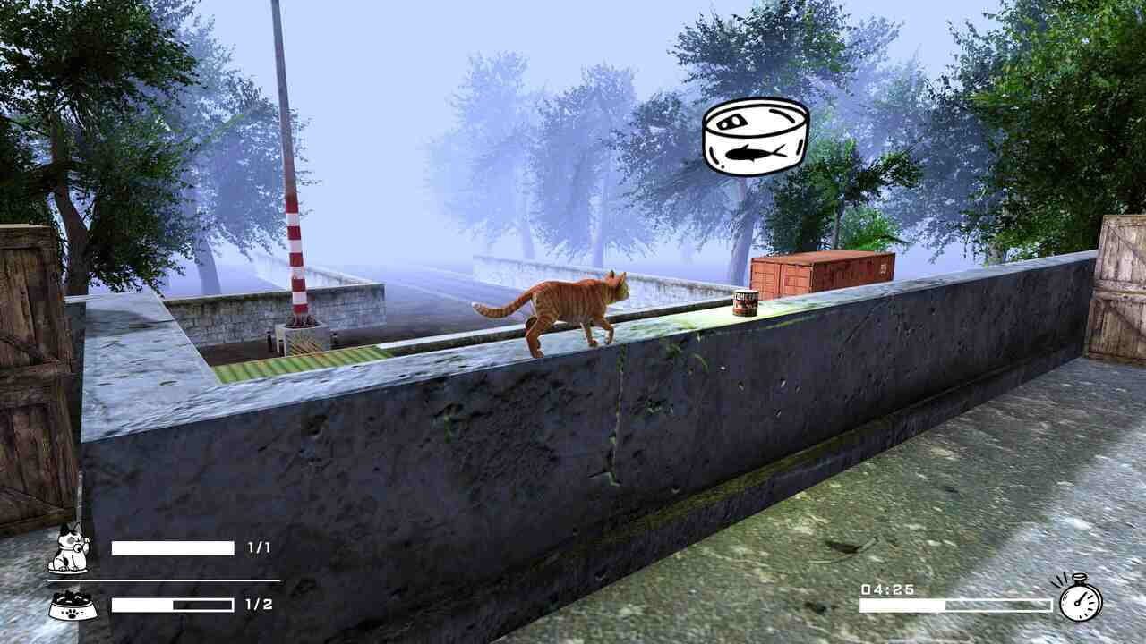 Tinny Strays