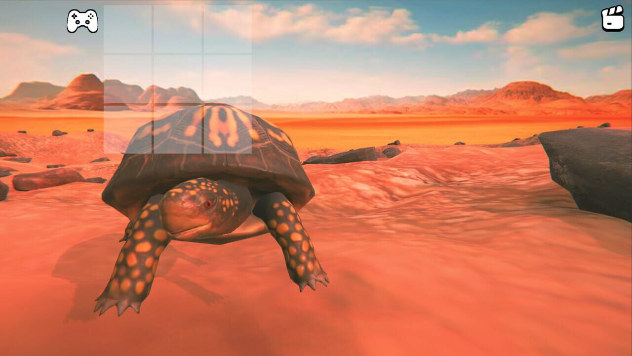 Catch the Turtle