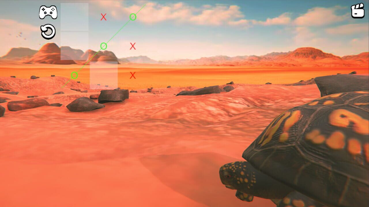 Catch the Turtle