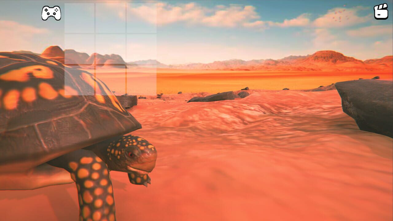Catch the Turtle