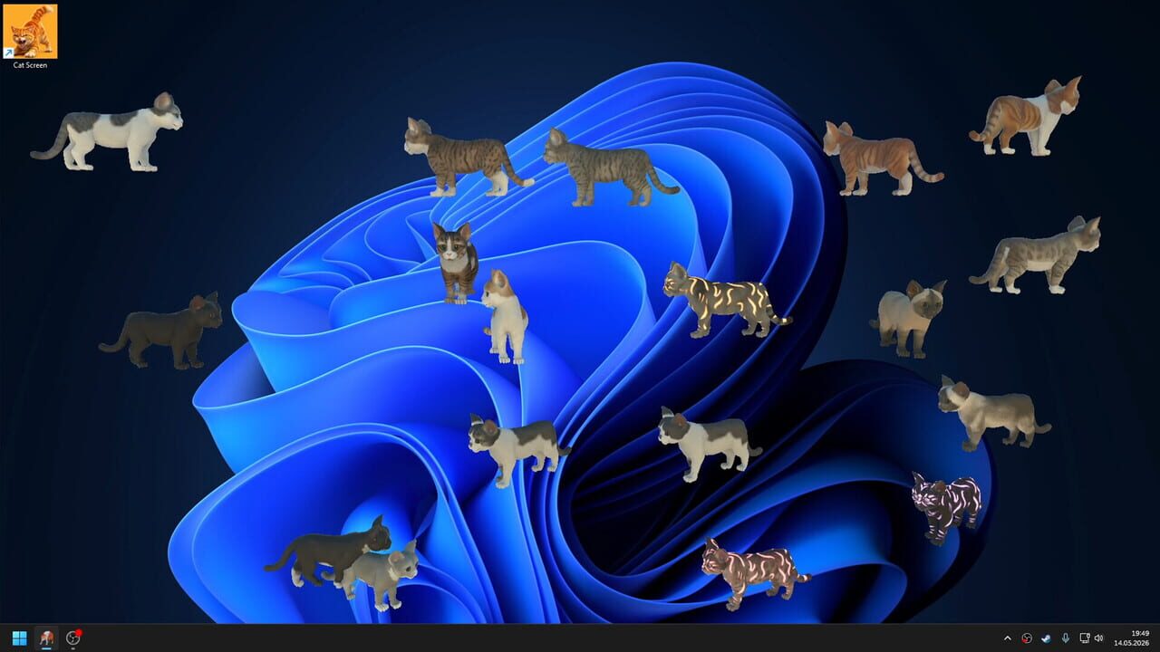 Cat Screen