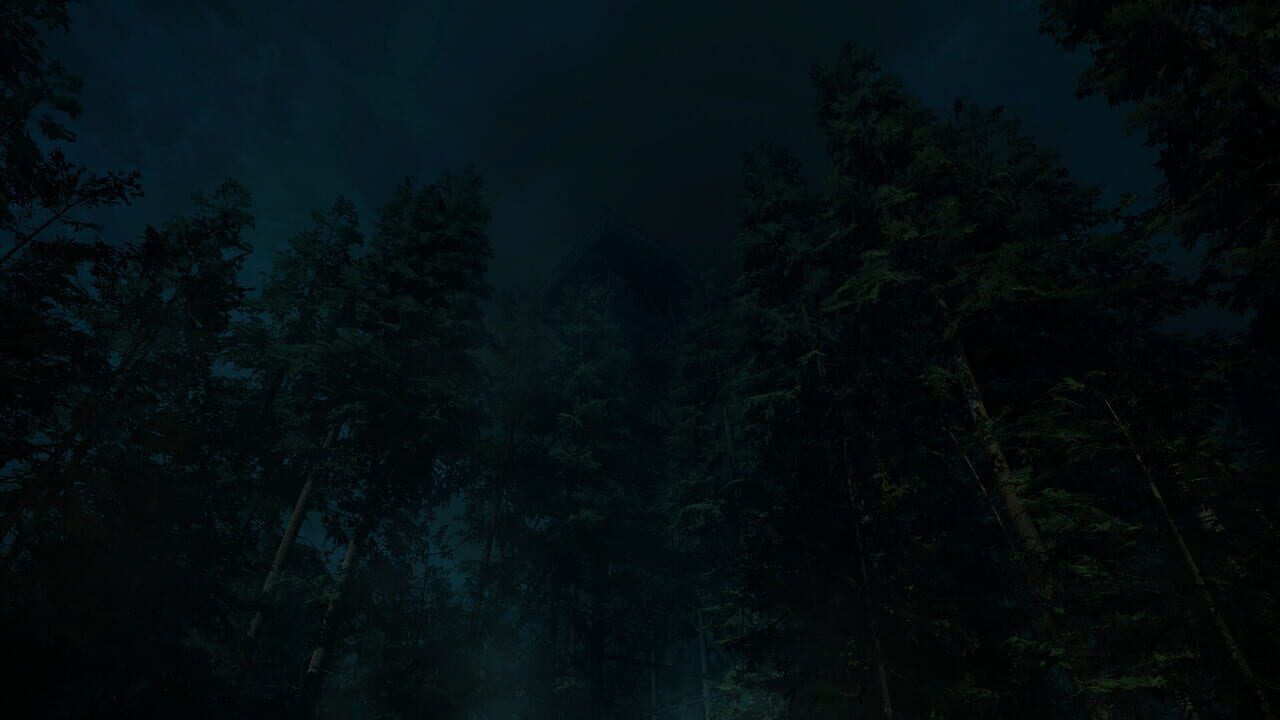 Forest Lookout