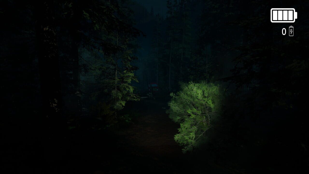 Forest Lookout