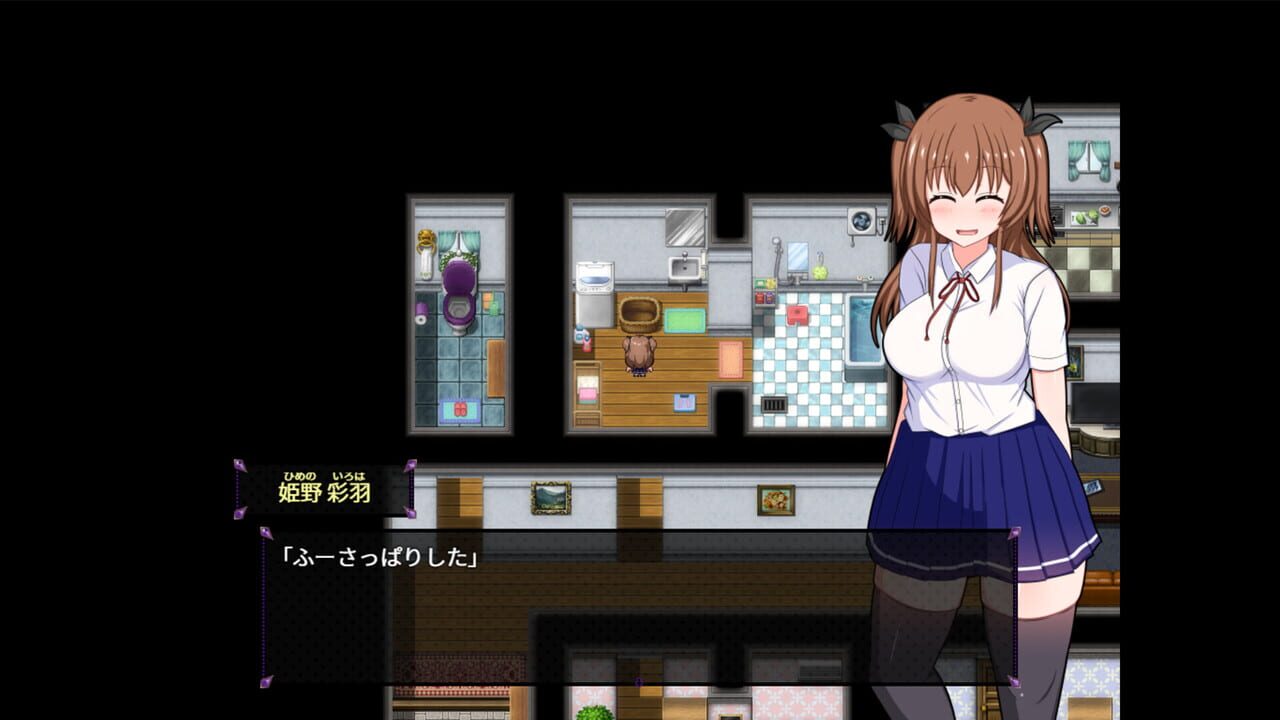 Do Disciplinary Committee Members Dream of Succubi?