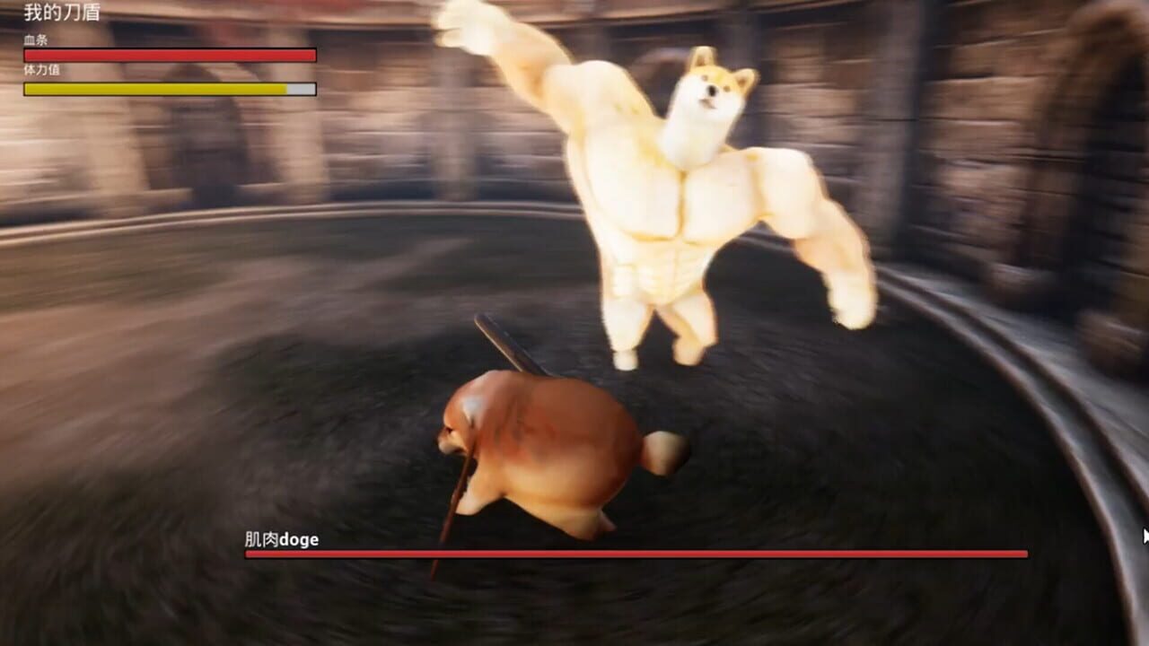 What the Dog Doing?