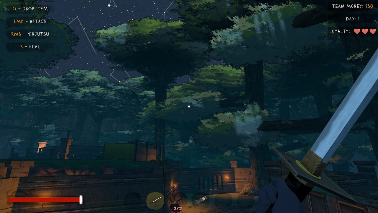Save the Ninja!