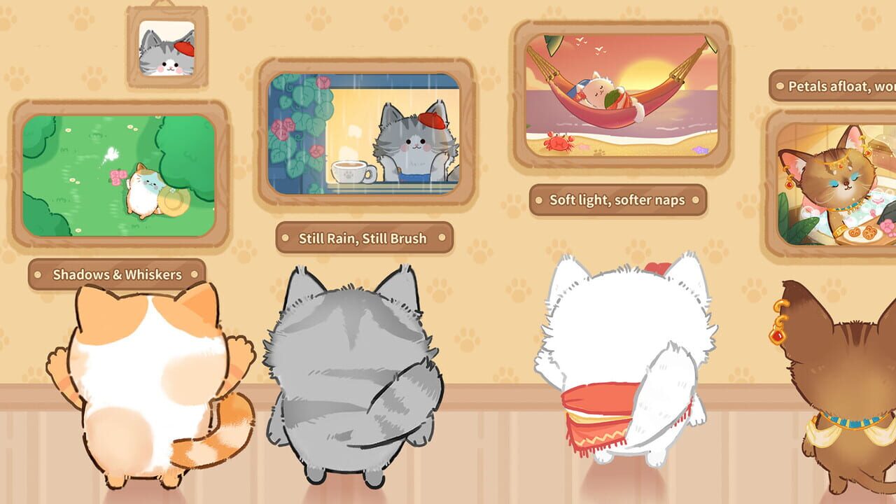 Purrrfect Spa