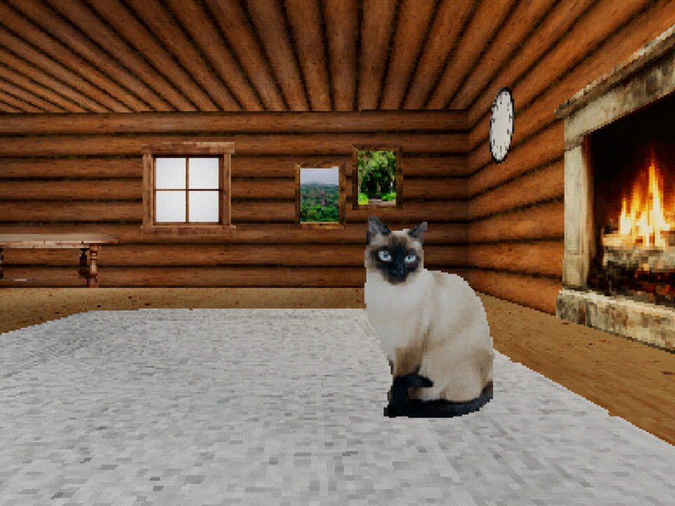 Take Care Of The Cat