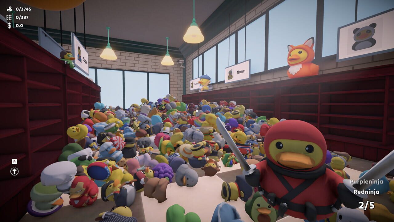 Sort Them Ducks