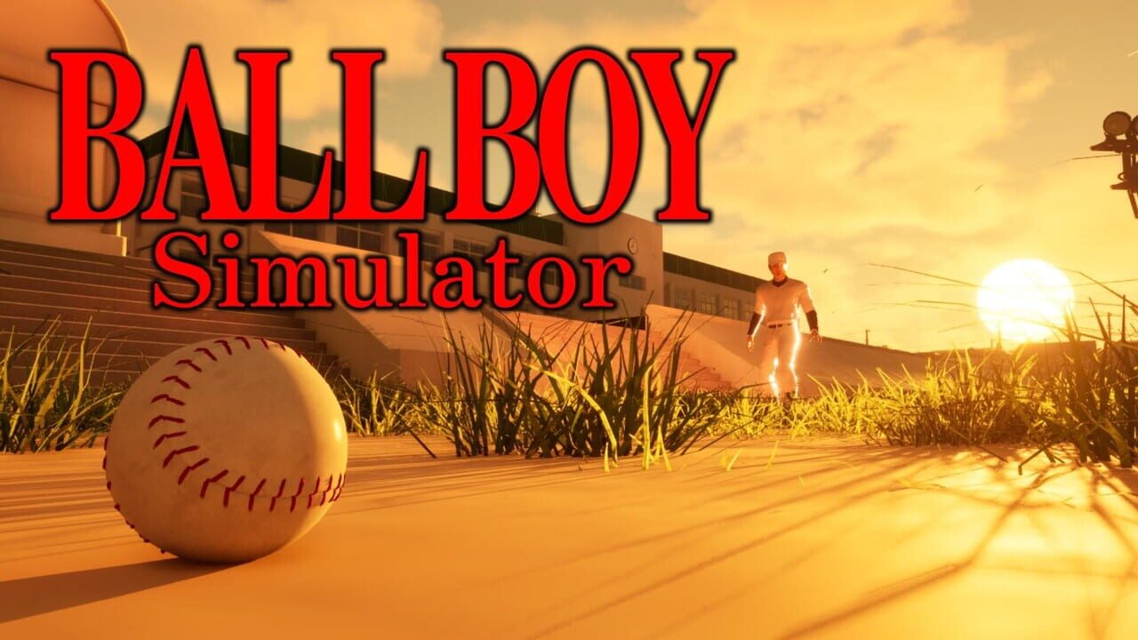 Ball Boy Simulator