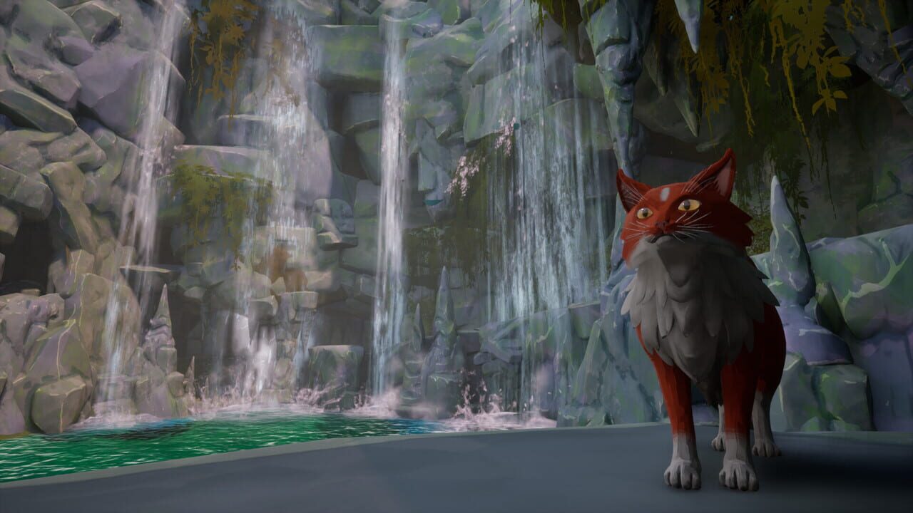 Warrior Cats: Clans of the Forest
