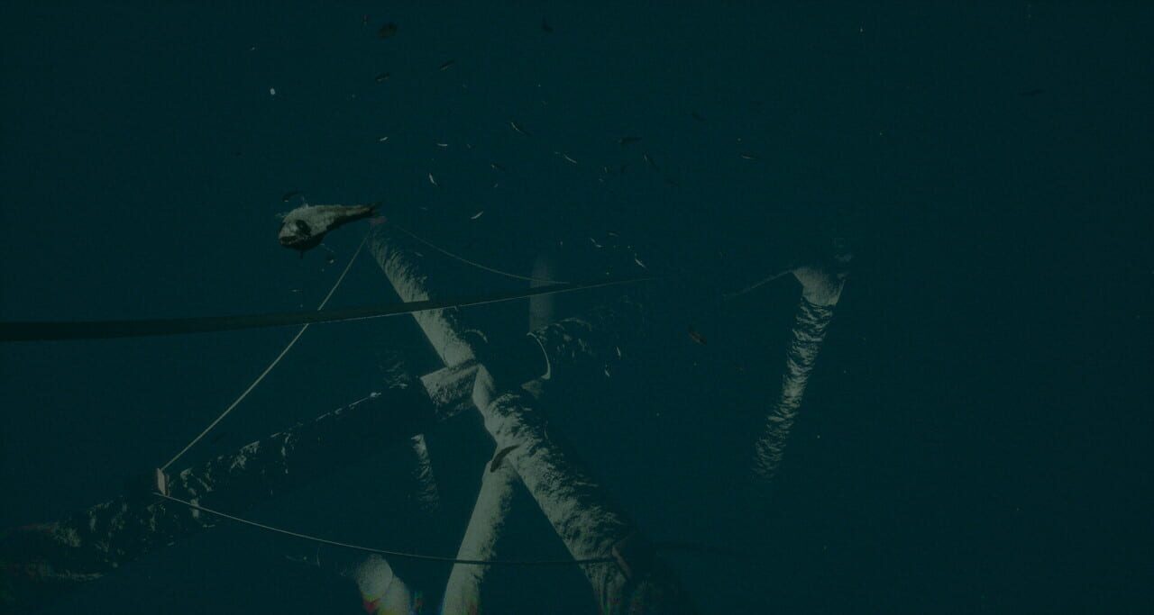 Dark of the Depths