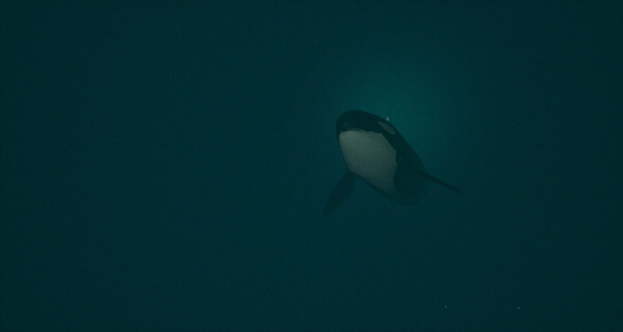 Dark of the Depths