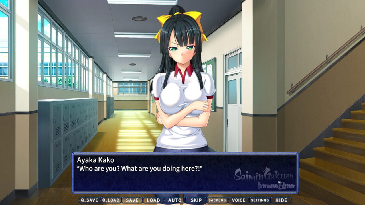 Saimin Gakuen: Intrusion Edition
