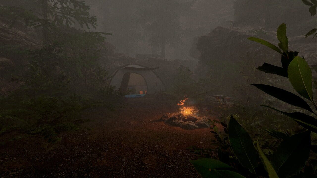 Sleep Walk