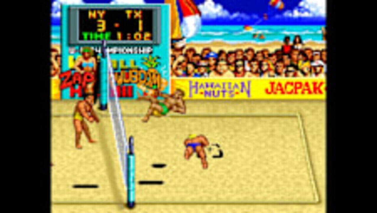 Arcade Archives: V’Ball