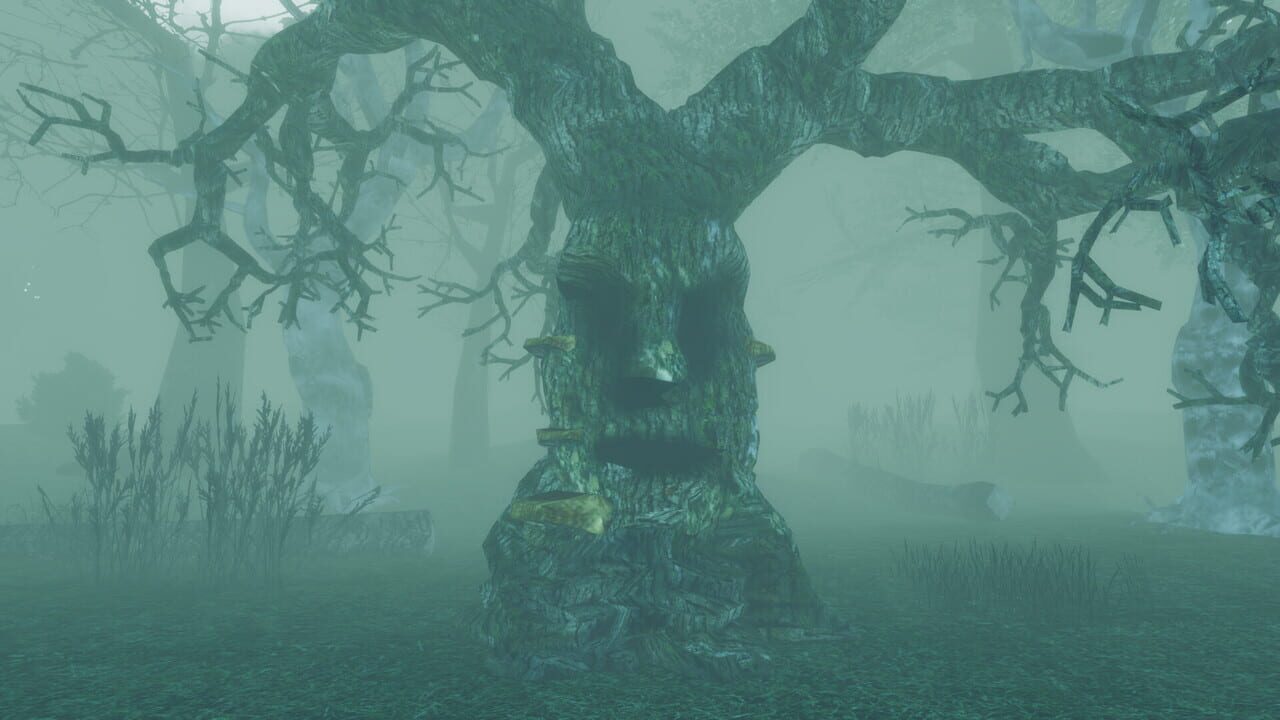 I Hear the Forest