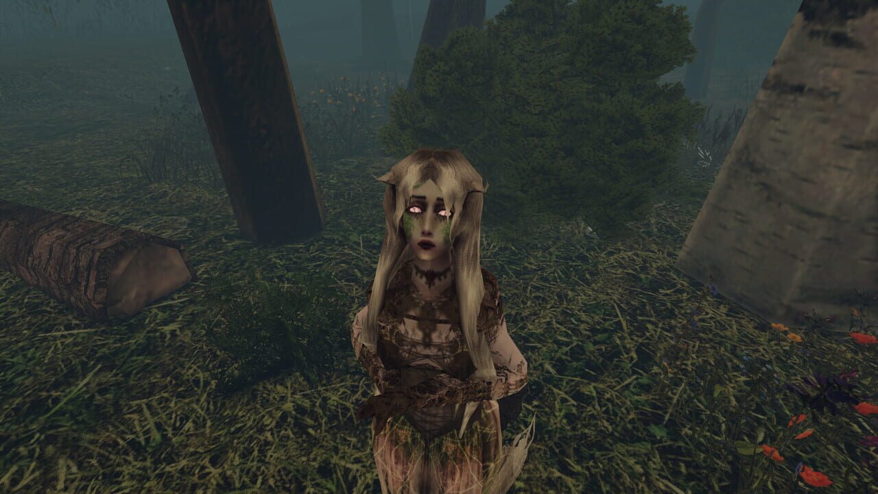 I Hear the Forest