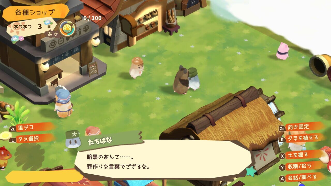 Hamster and the Village of Sun