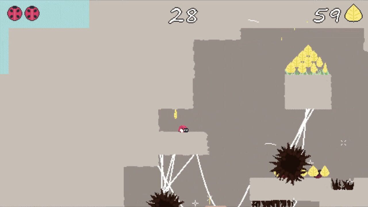 A Bug’s (Short) Life