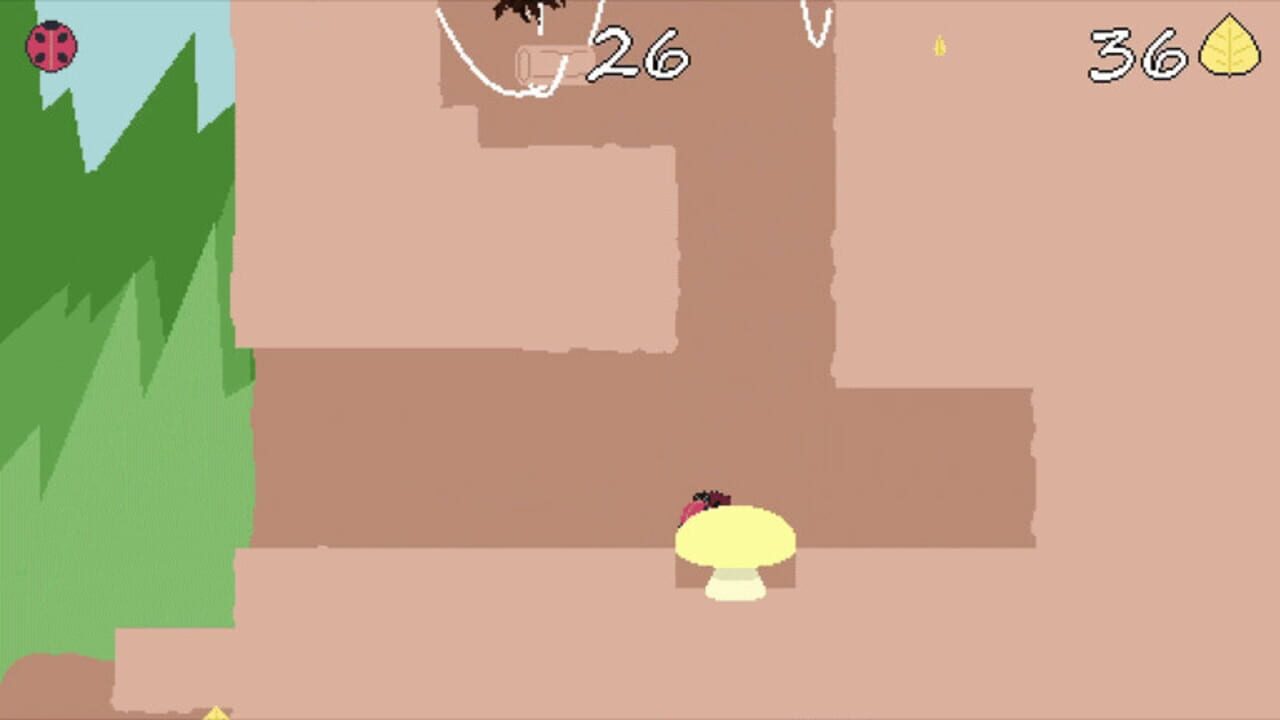 A Bug’s (Short) Life