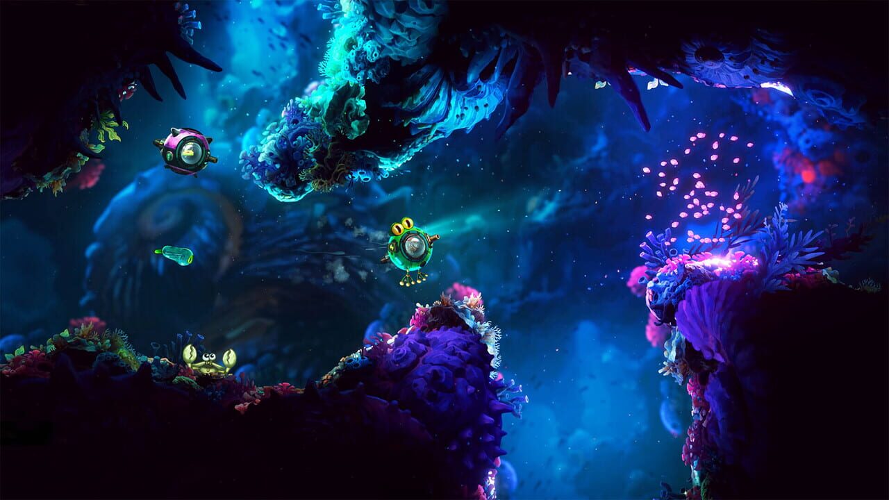 Nautus