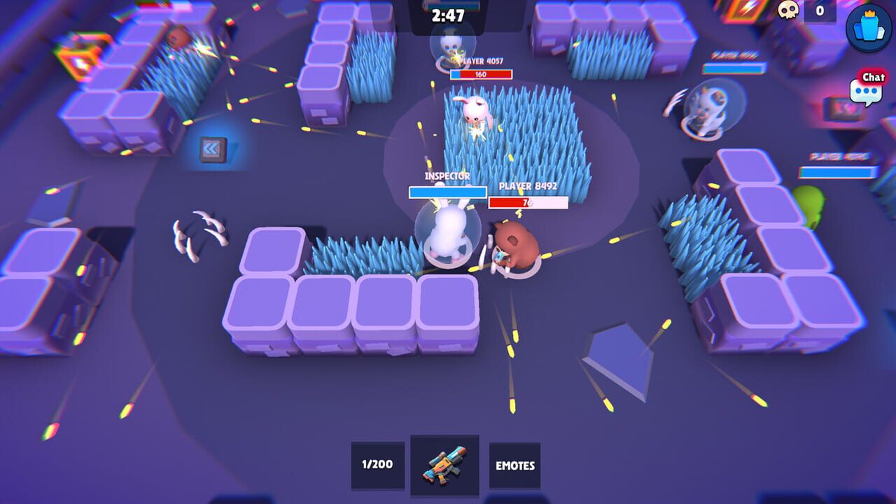 Brawl Arena Shooter