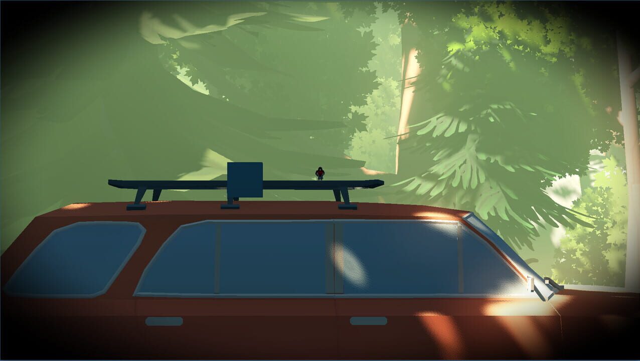 Look to the Birds