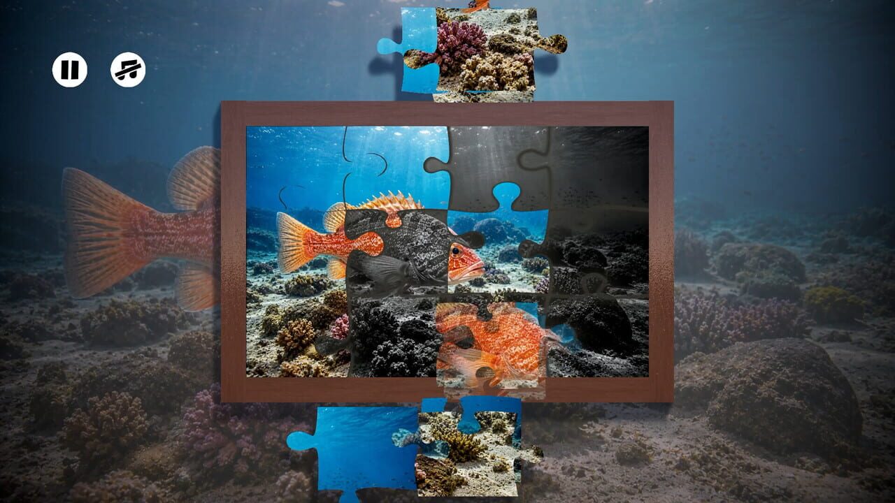 Puzzles: Fish