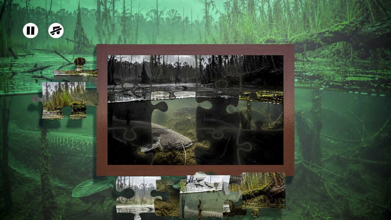 Puzzles: Fish