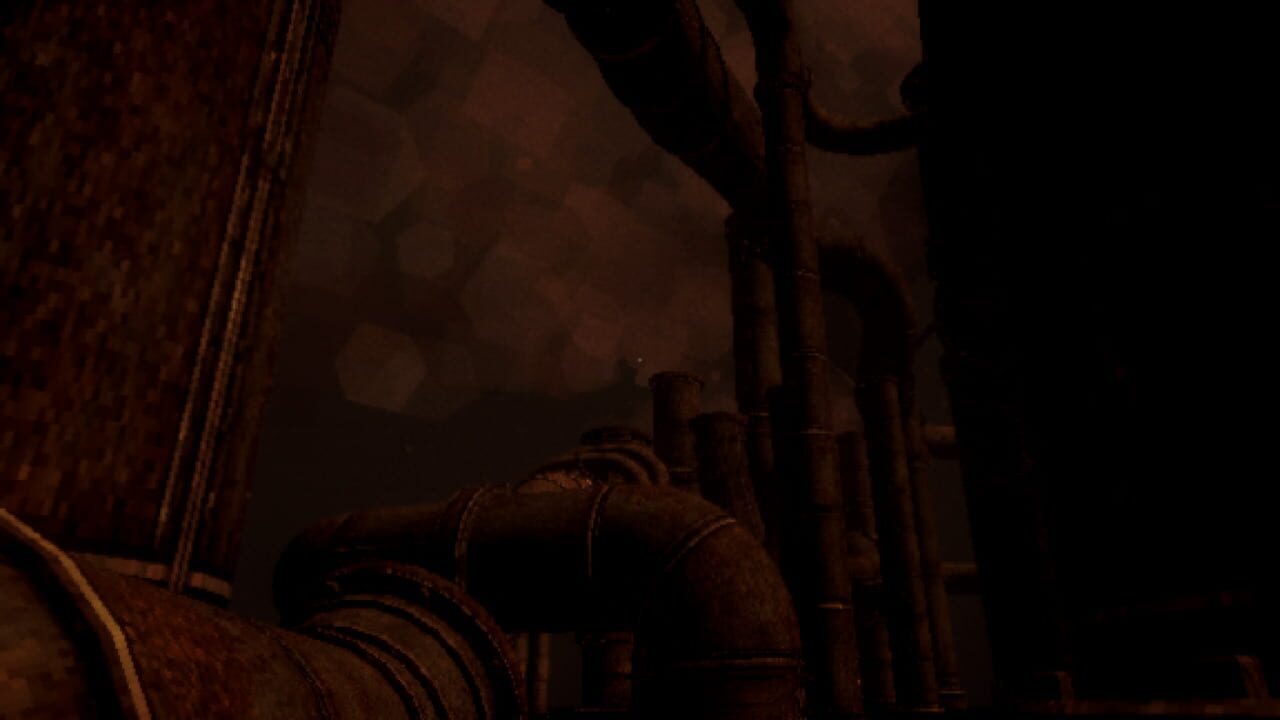 Claustrum