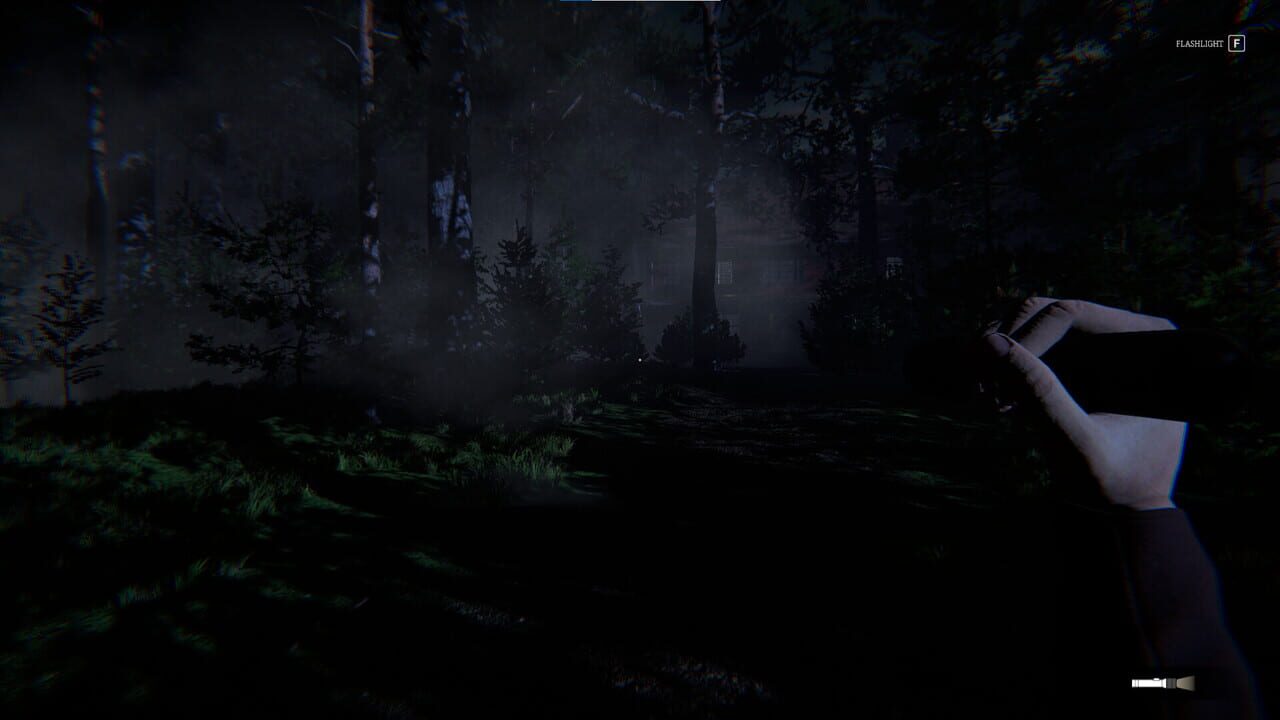 Still Rain: The Arrival