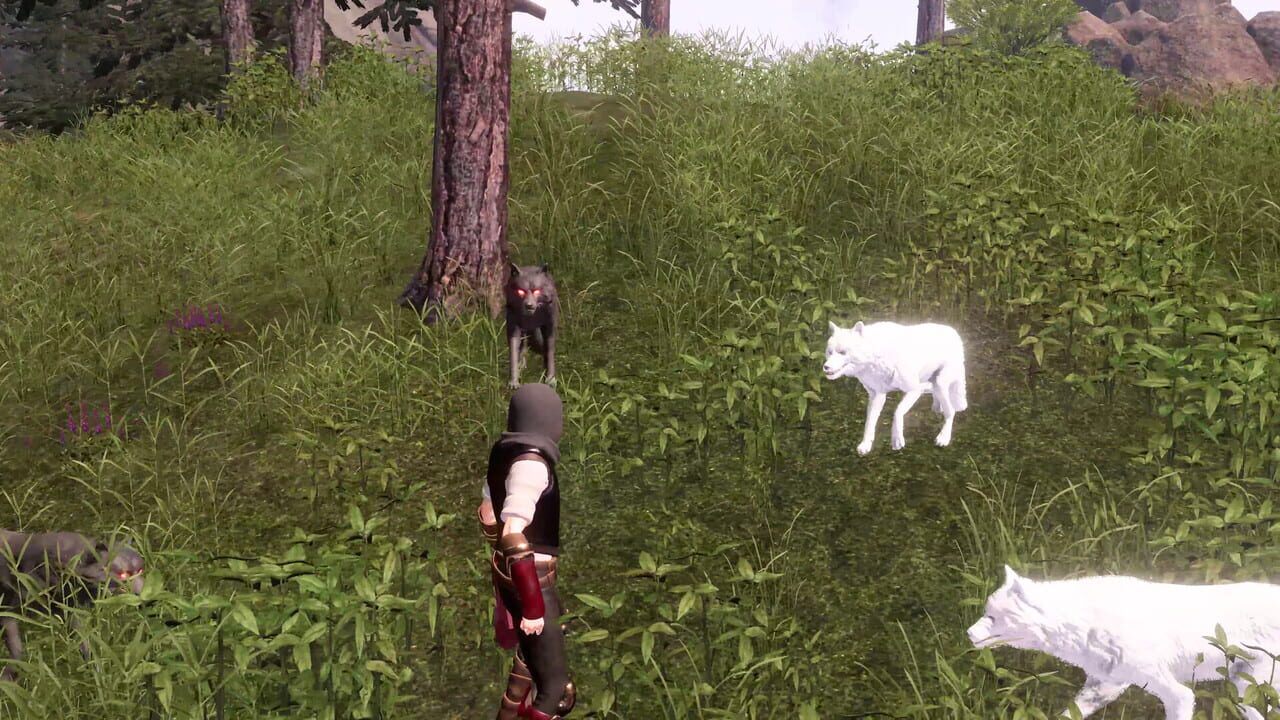 The Last Elf