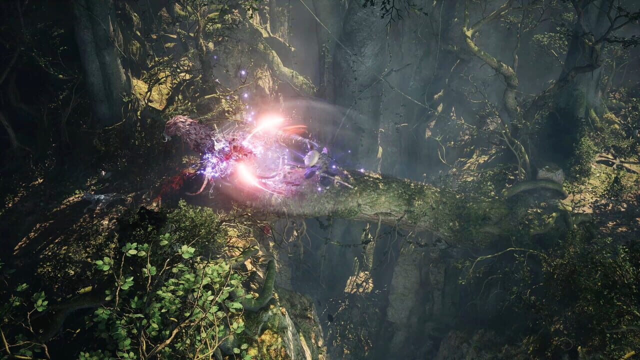 Tarae The Unbound