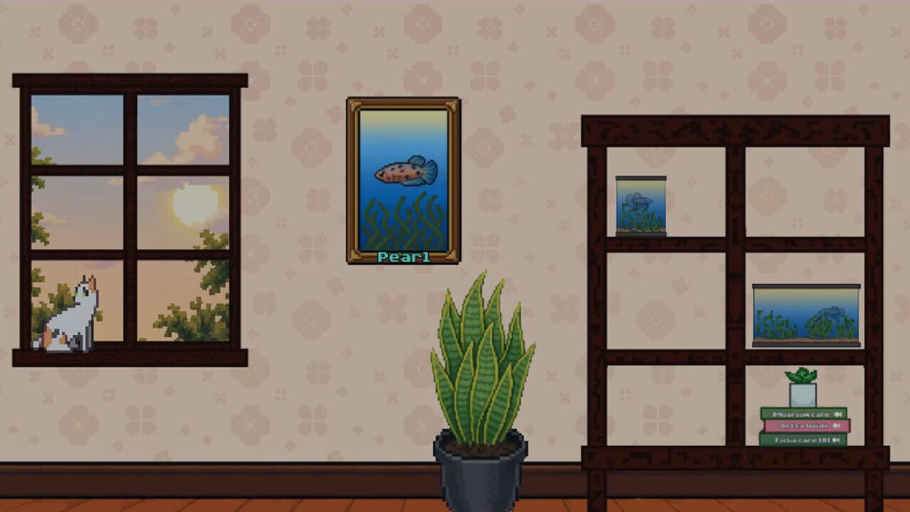 Little Bettas