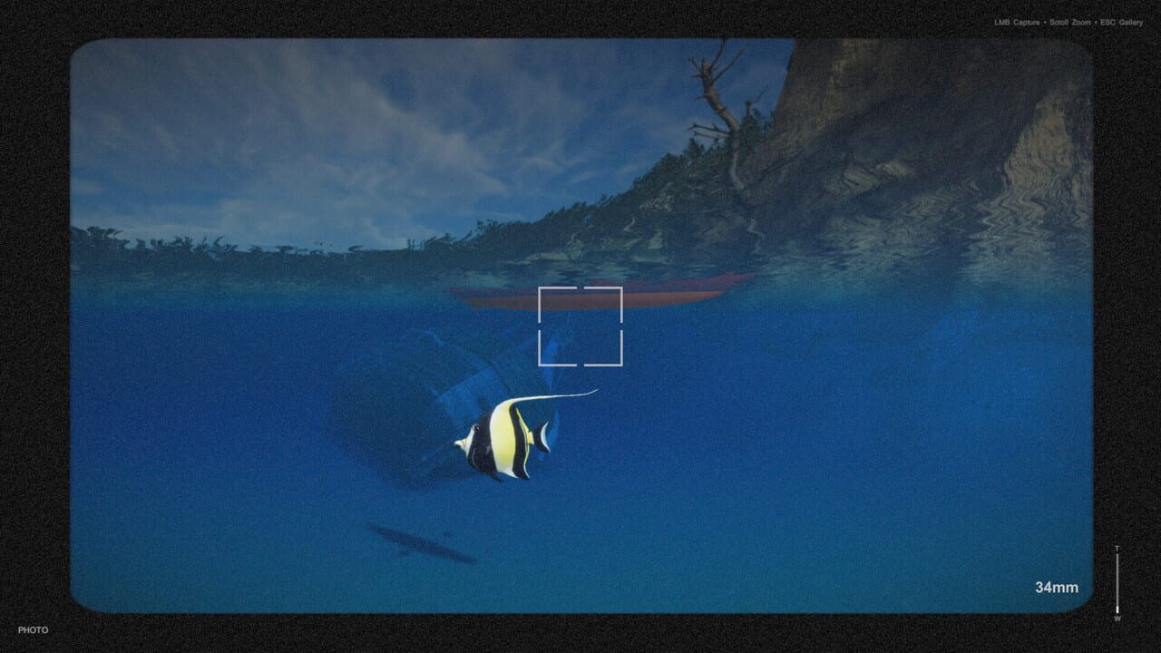 Kayak Photography Sim