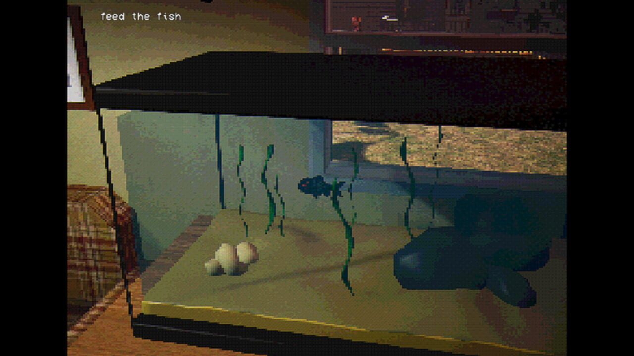 Feed the fish