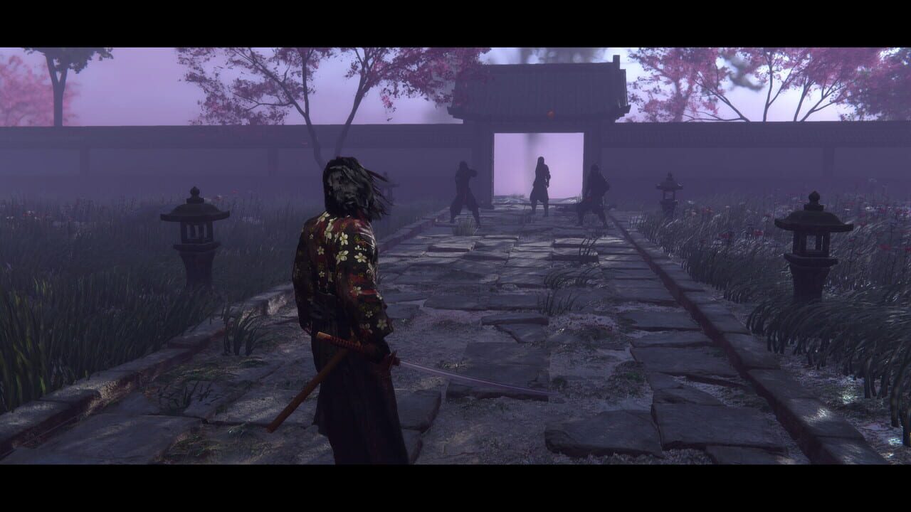 Red Masked Ronin: Desires and Shadows