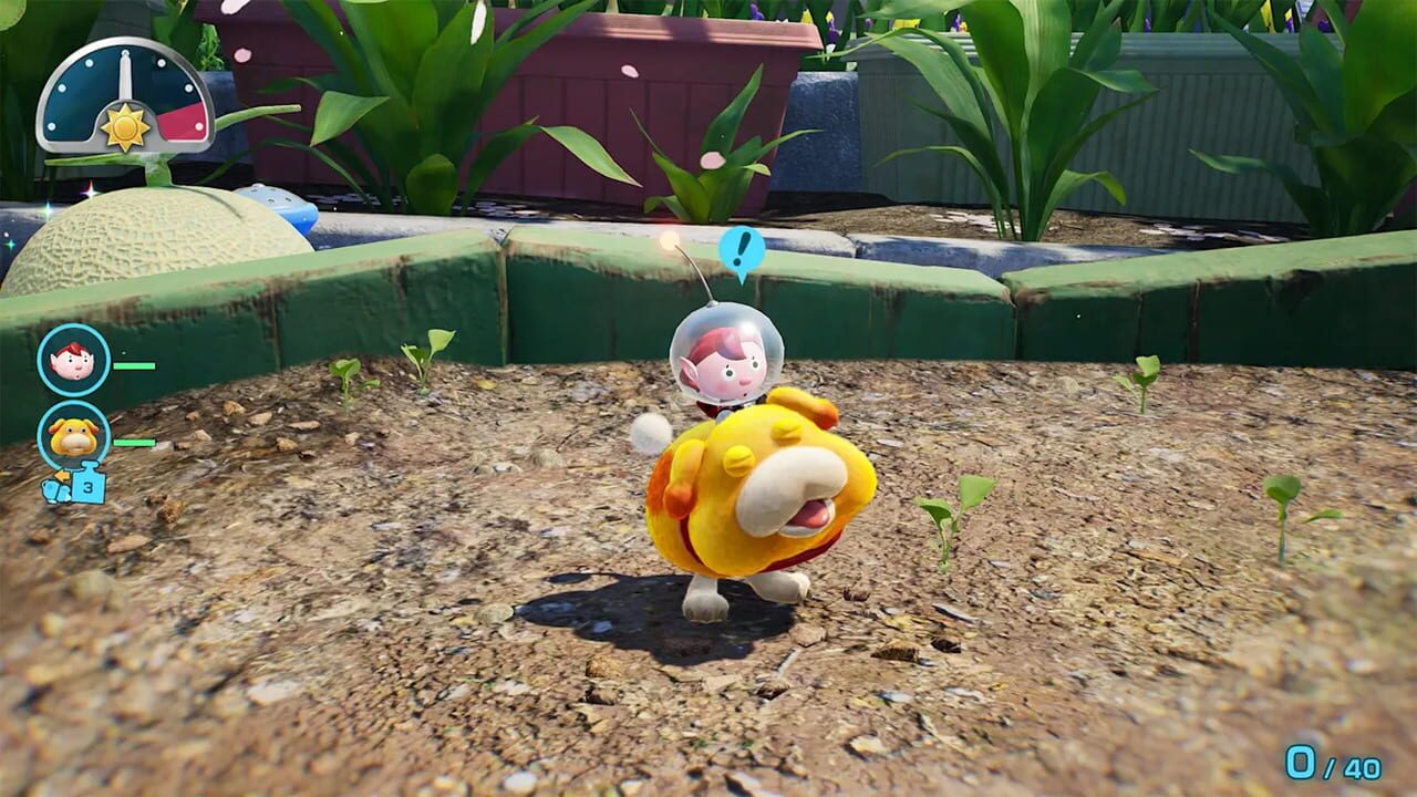Pikmin 4: Nintendo Switch 2 Edition + Dandori Academy