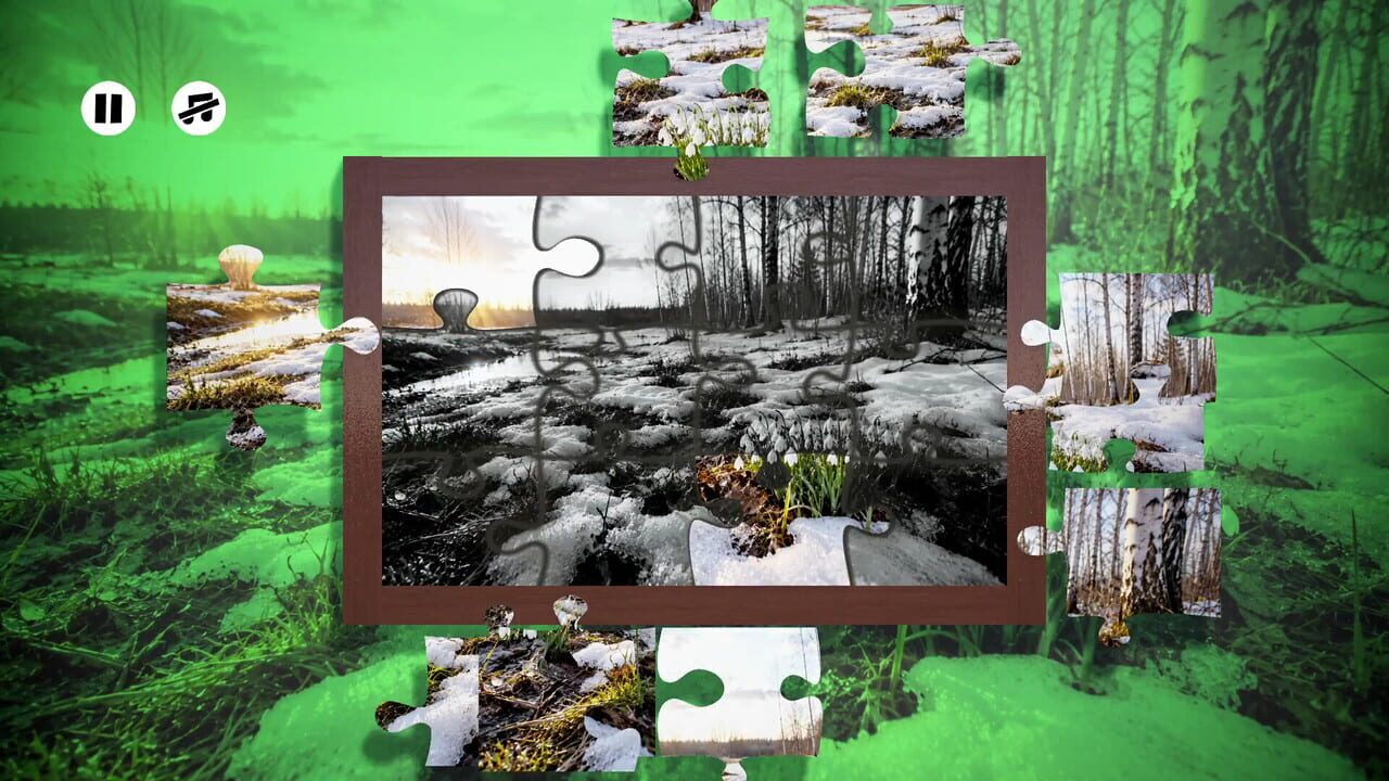 Puzzles Snow