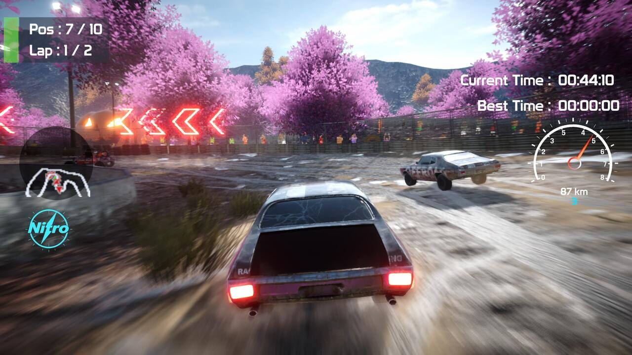 Stock Cars Racing