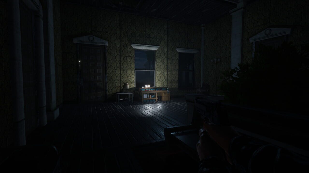 Dark Shadows