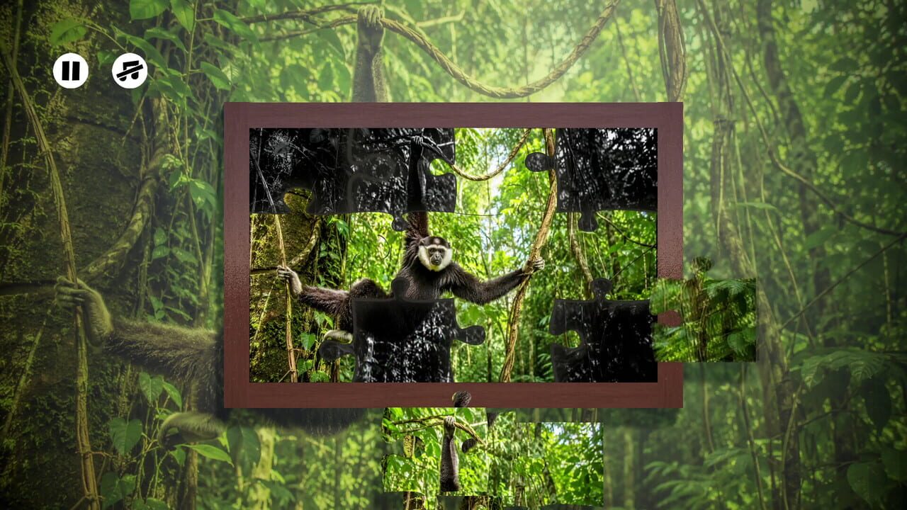 Puzzles: Monkey