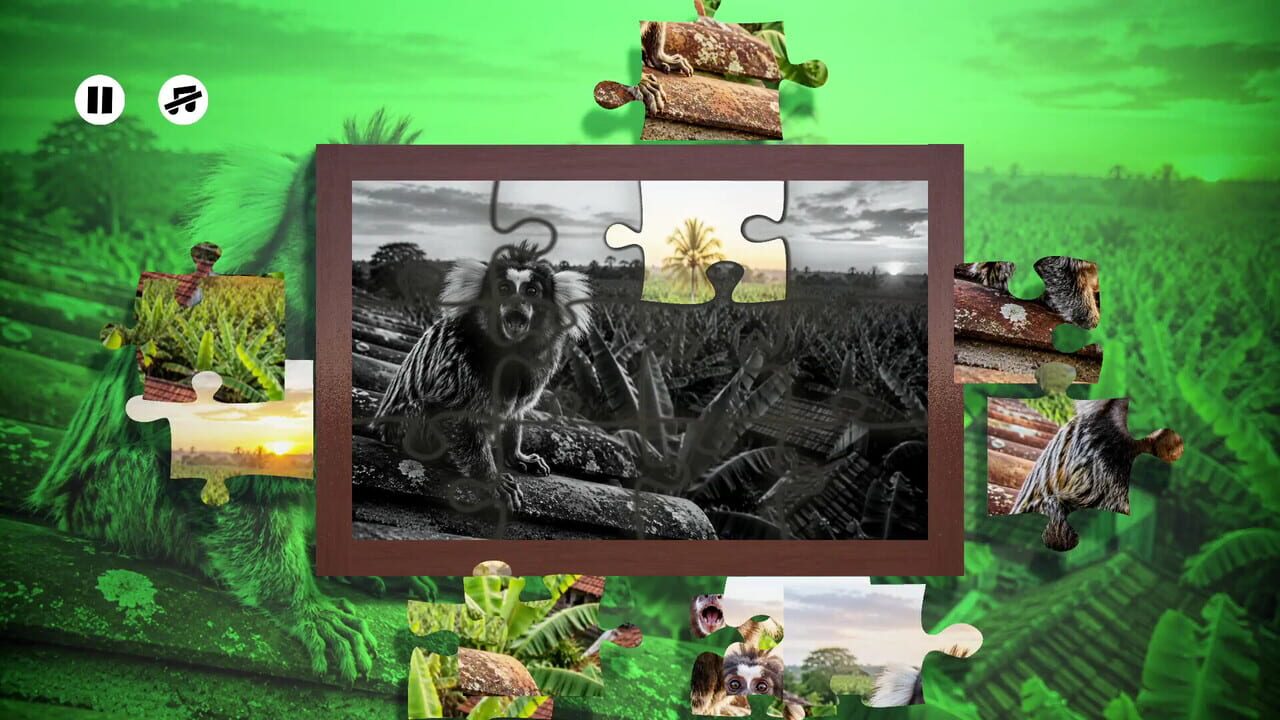 Puzzles: Monkey