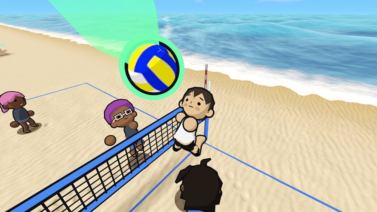 Just Volleyball