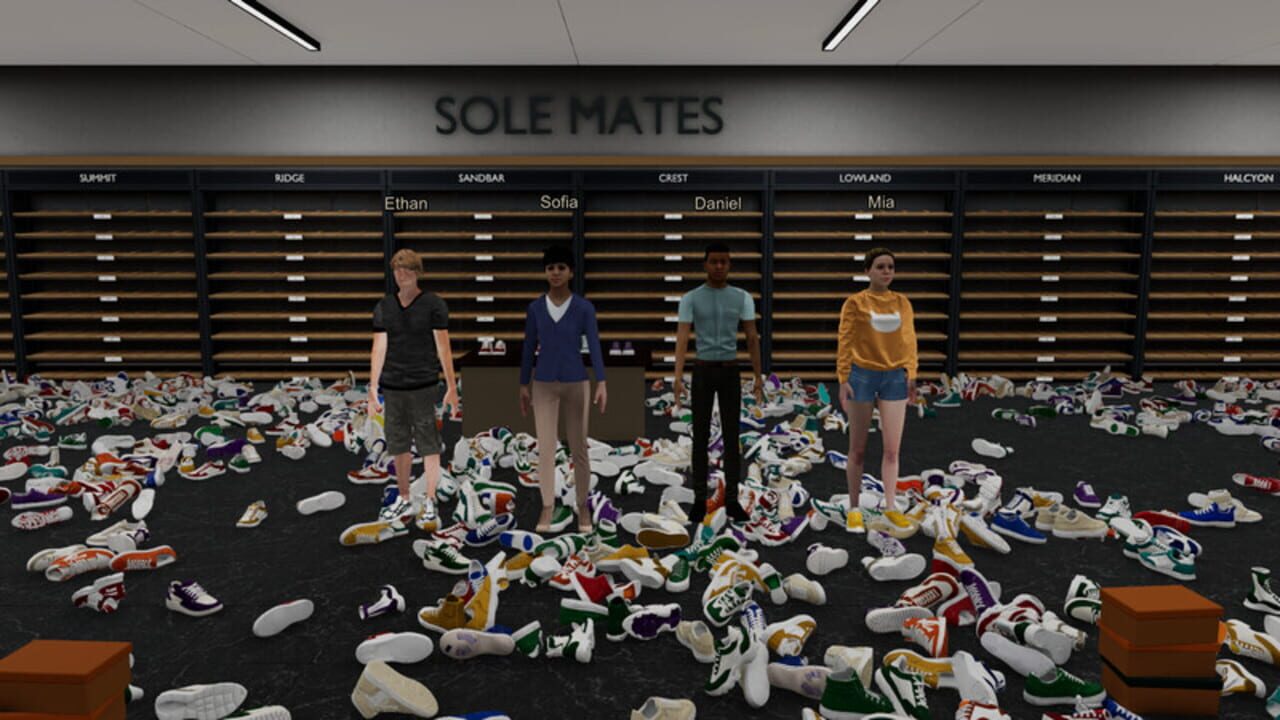 Sole Mates: Tidy Up the Shoe Store