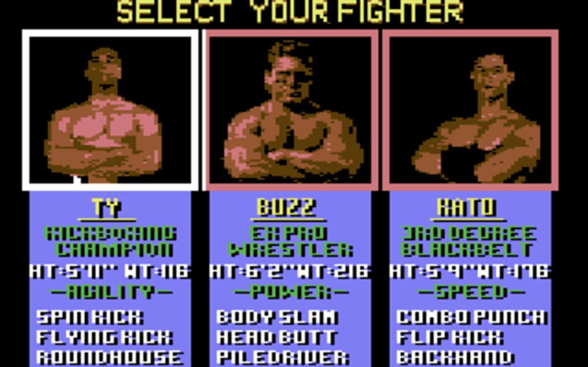 Pit-Fighter